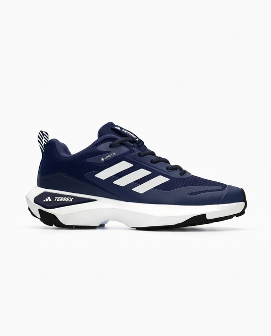 Adidas Terrex GORE-TEX BLEU