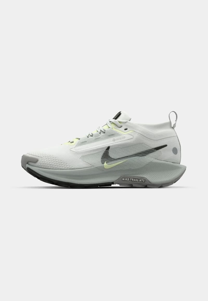 Nike Pegasus Trail 5 GORE-TEX