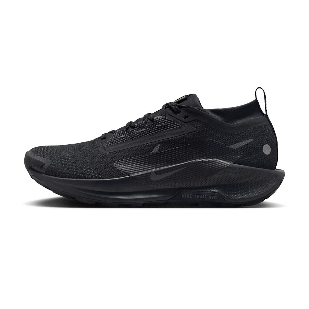 Nike Pegasus Trail 5 GORE-TEX