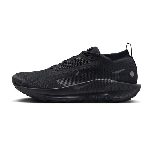 Nike Pegasus Trail 5 GORE-TEX