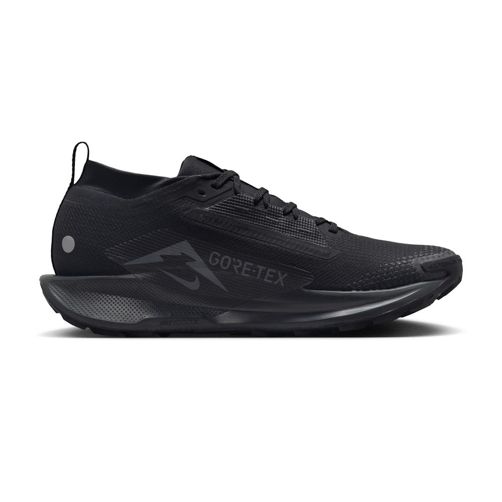 Nike Pegasus Trail 5 GORE-TEX