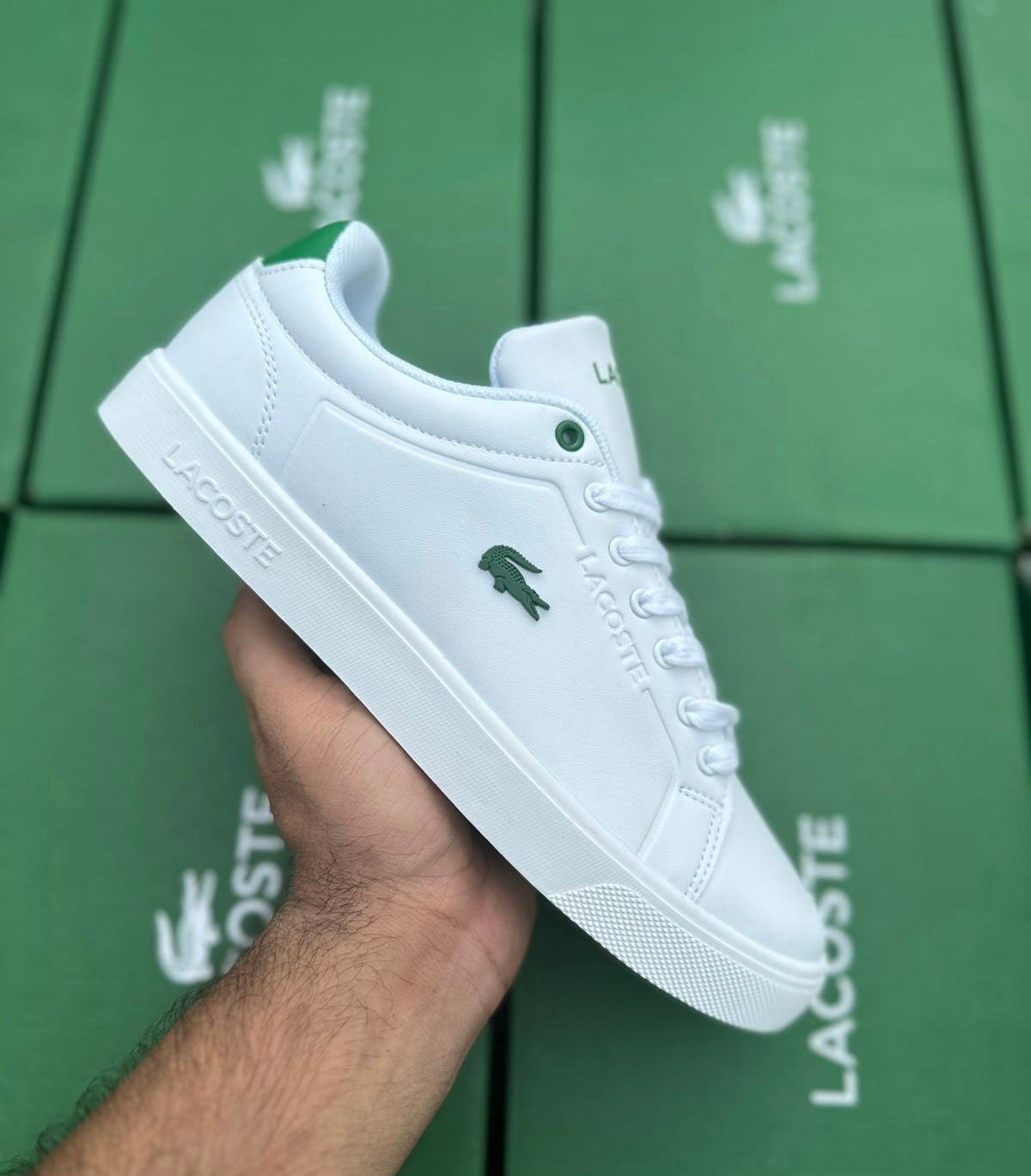 Lacoste Powercourt Blanc Vert