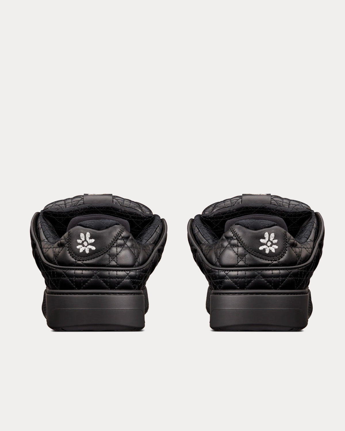 Dior B9S Skater Black