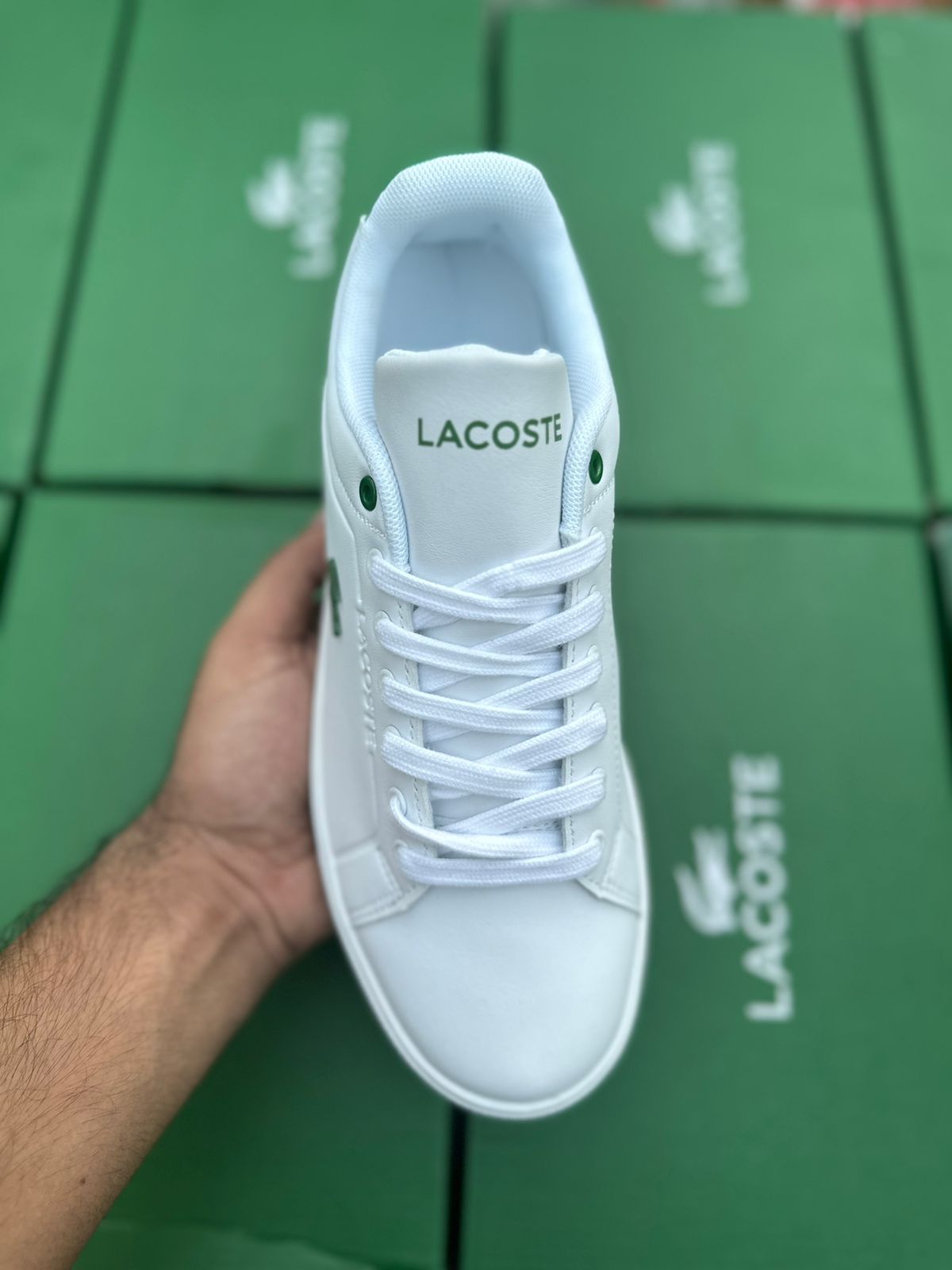 Lacoste Powercourt Blanc Vert