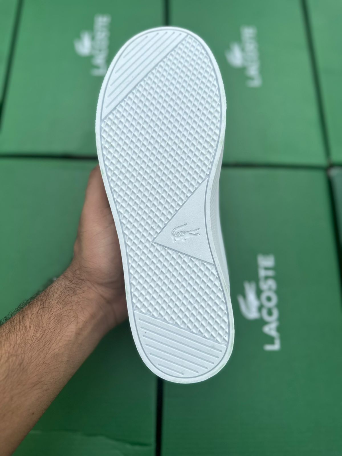 Lacoste Powercourt Blanc Vert