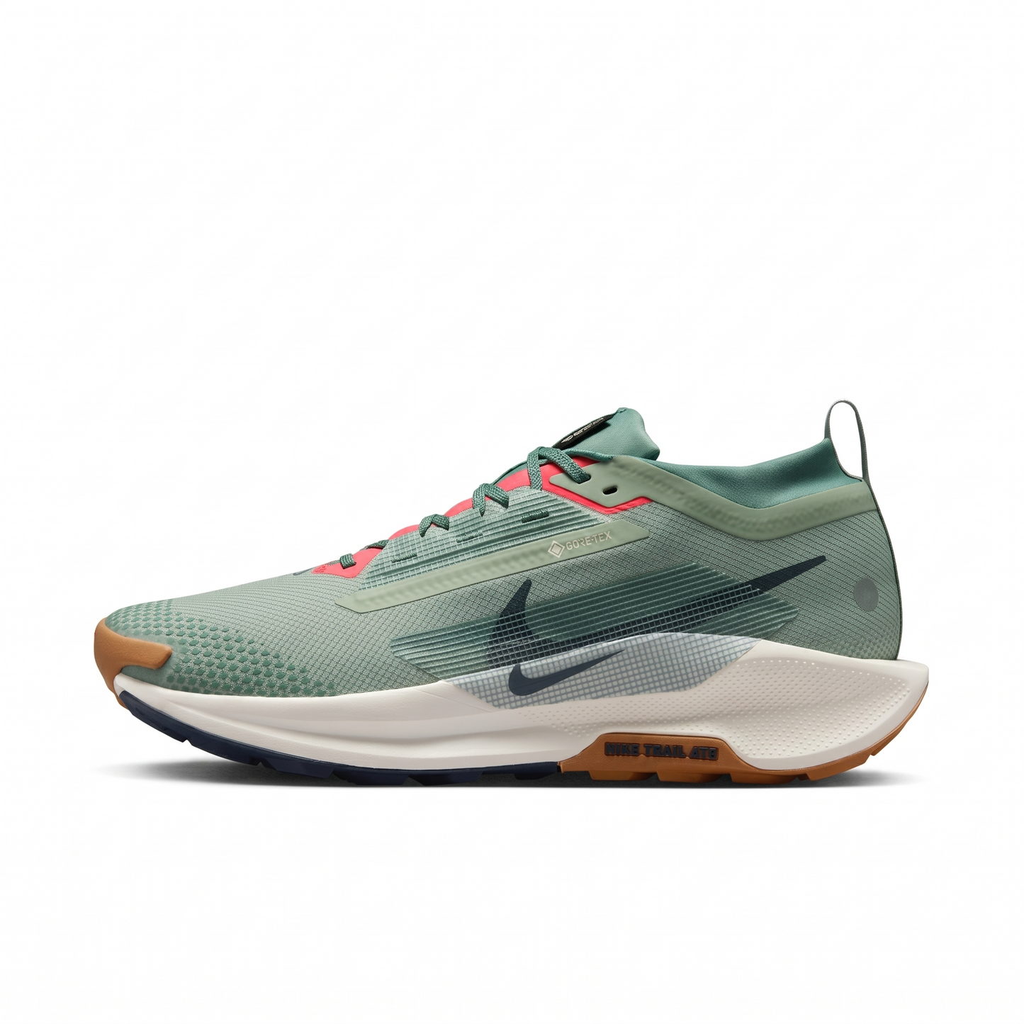 Nike Pegasus Trail 5 Gore-Tex