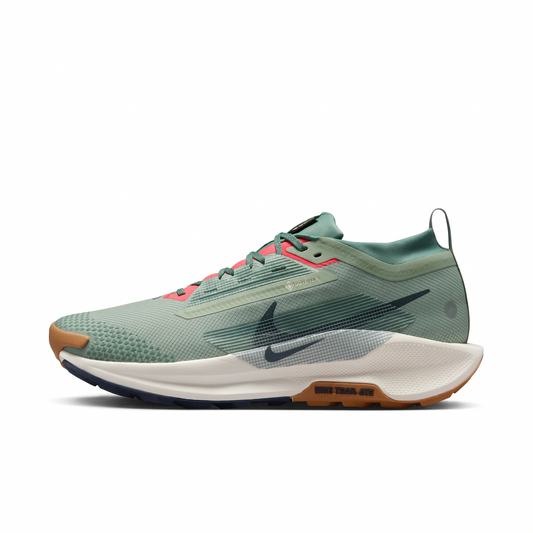 Nike Pegasus Trail 5 Gore-Tex